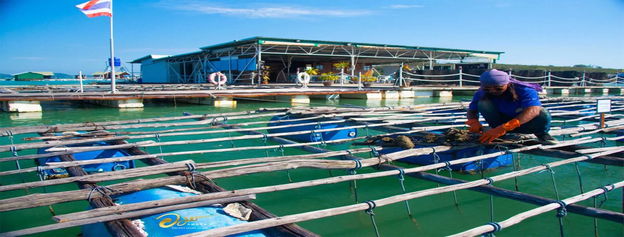 Image for Pearl Farm